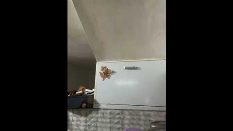 mahimagicdoll_desi @ stripchat on 20240923