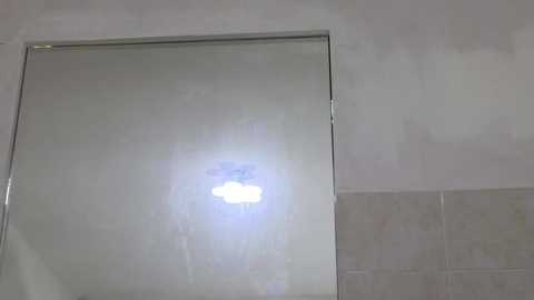 miyamoto_marina @ stripchat on 20240923