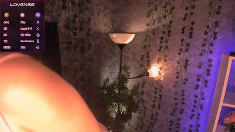 sofi_lynn @ stripchat on 20240923