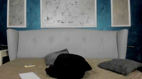 akirareid @ stripchat on 20240924