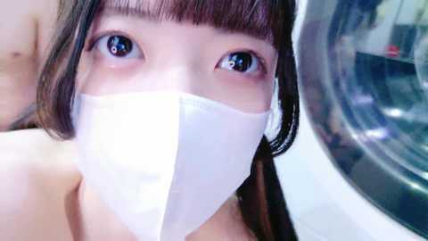 irohani_usagi @ stripchat on 20240924