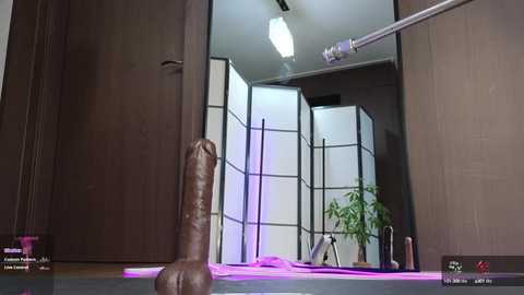 marry_cordy @ stripchat on 20240924