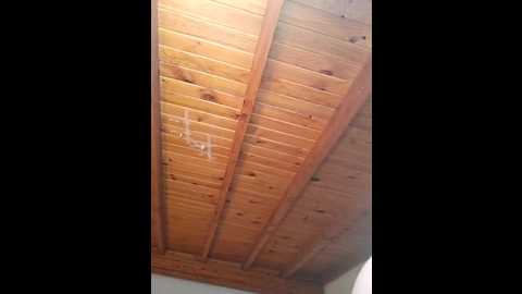 elnonoykeila77 @ stripchat on 20240925