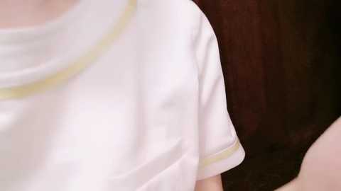 irohani_usagi @ stripchat on 20240925
