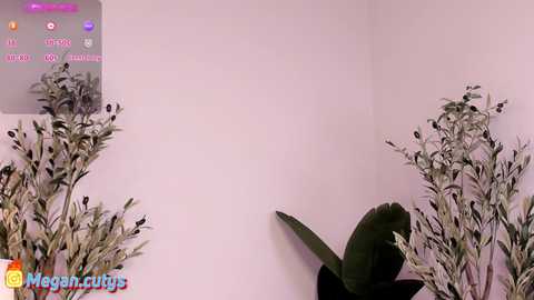 akirarey @ stripchat on 20240926