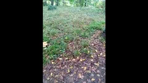 loola_exib @ stripchat on 20240926