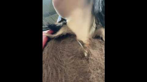 melissa_crazy @ stripchat on 20240926