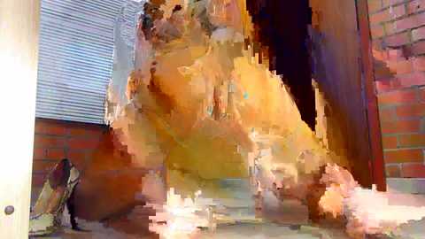 salome_sw @ stripchat on 20240926