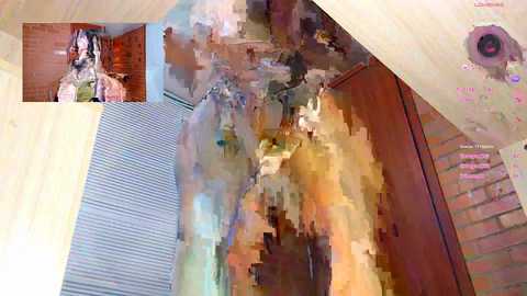 salome_sw @ stripchat on 20240926