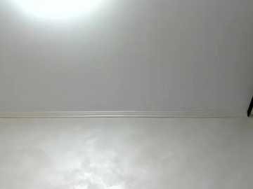 wowsquirtx @ stripchat on 20240926