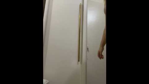 dinaaa00 @ stripchat on 20240927