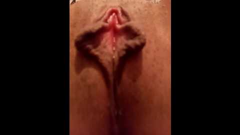 fahida_46 @ stripchat on 20240927