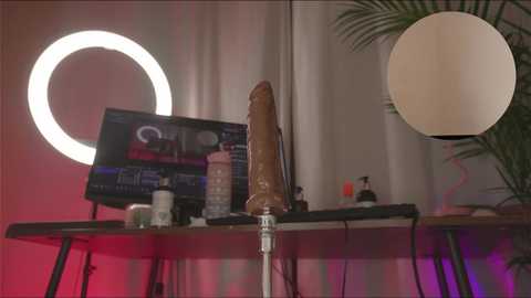 jessicabrook @ stripchat on 20240927