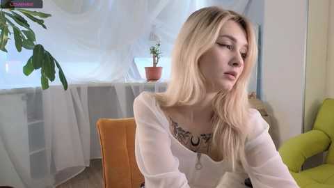 kimhaigg