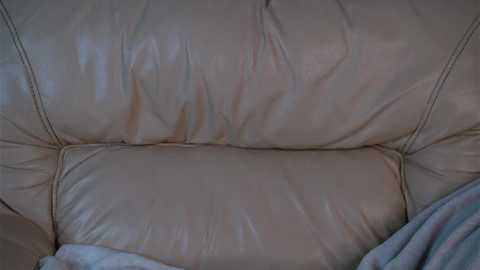 lillianlester @ stripchat on 20240927