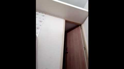 pujaray_ @ stripchat on 20240927