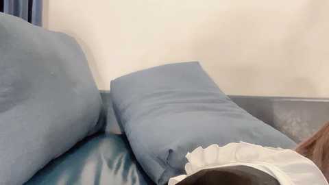 fengshao_garden77 @ stripchat on 20240929