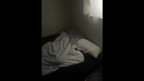 ladylavish @ stripchat on 20240929