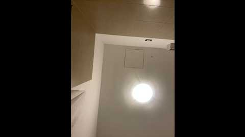 alimela @ stripchat on 20241001