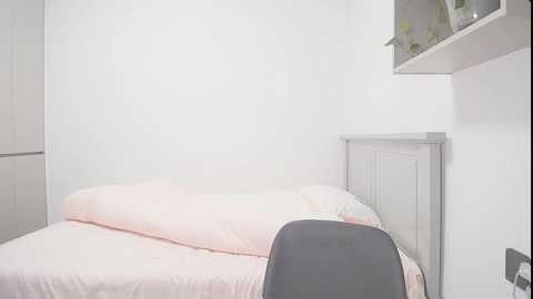 bellajane_hk000 @ stripchat on 20241001
