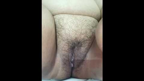 hello_motto @ stripchat on 20241001