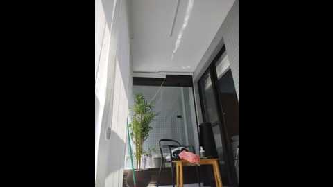 melcherri @ stripchat on 20241001