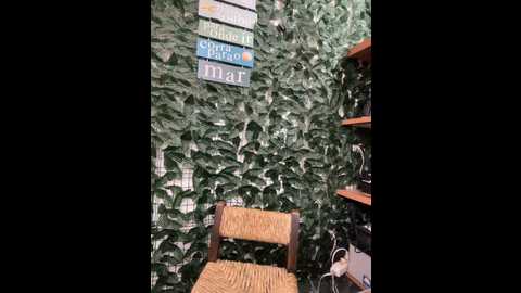 nomadic_angel @ stripchat on 20241001