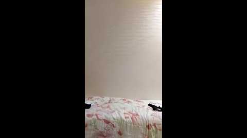 r_rania @ stripchat on 20241001