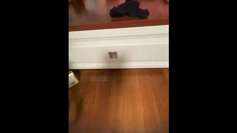 syy9999 @ stripchat on 20241001