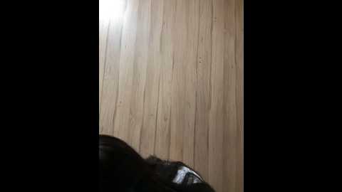 wet__bunny @ stripchat on 20241001