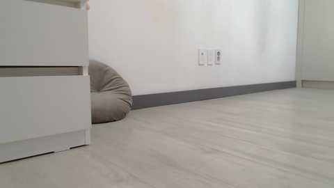 akishina @ stripchat on 20241002