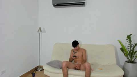alice_rookie @ stripchat on 20241002