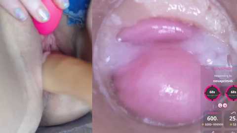 danigirl866 @ stripchat on 20241002