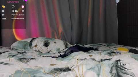 judyhorton @ stripchat on 20241002