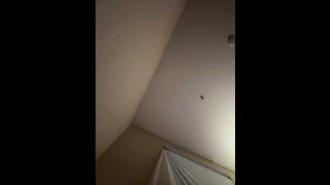 ladylavish @ stripchat on 20241002