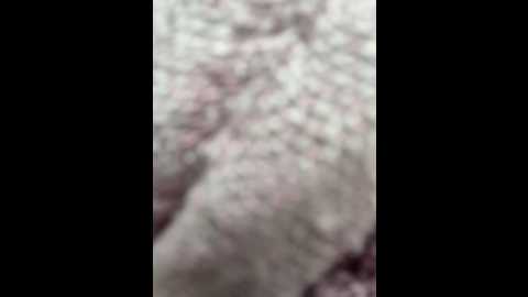 lina_twin @ stripchat on 20241002