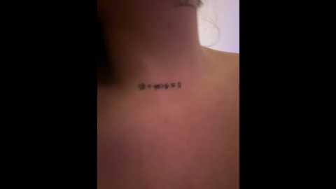 megan_lu2 @ stripchat on 20241002