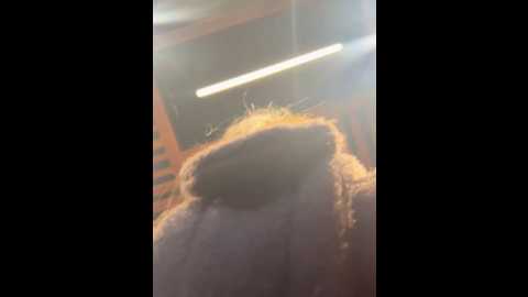 times__square @ stripchat on 20241002