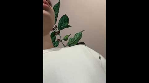 caseystar @ stripchat on 20241003