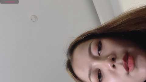 fengshao_garden77 @ stripchat on 20241003