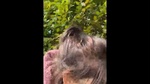 lenas_secret7 @ stripchat on 20241003