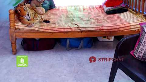 novapol @ stripchat on 20241003