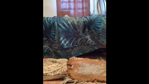 zasmin324 @ stripchat on 20241003