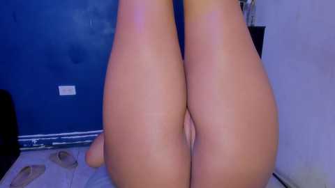 bigtitstati @ stripchat on 20241004