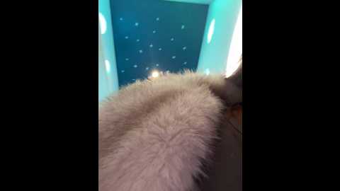 cherry____pie @ stripchat on 20241004