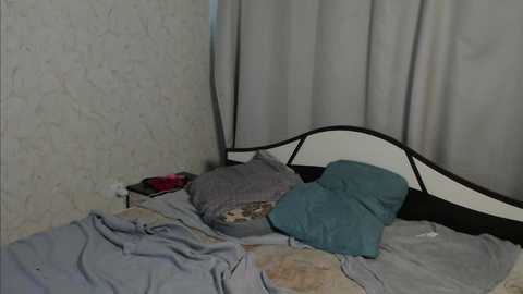 dana_mark @ stripchat on 20241004