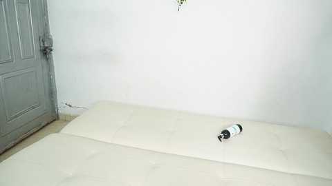 maidengirls @ stripchat on 20241004