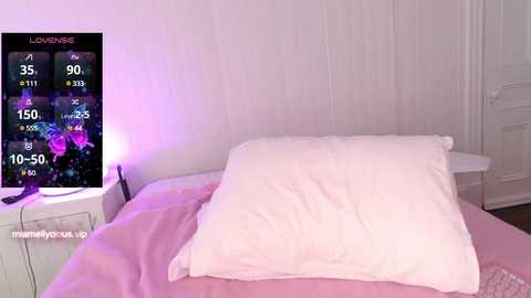 miamellycious @ stripchat on 20241005