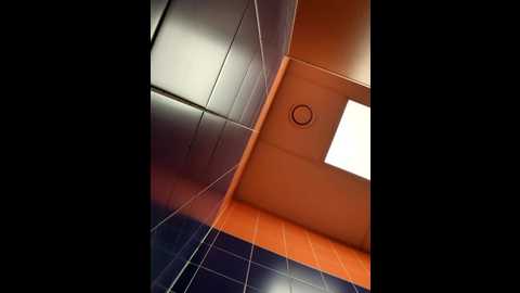 morphine_666 @ stripchat on 20241005