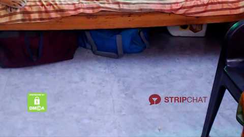 novapol @ stripchat on 20241005